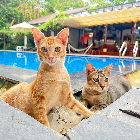 Have Fun Phu Quoc Villa Dış mekan fotoğraf