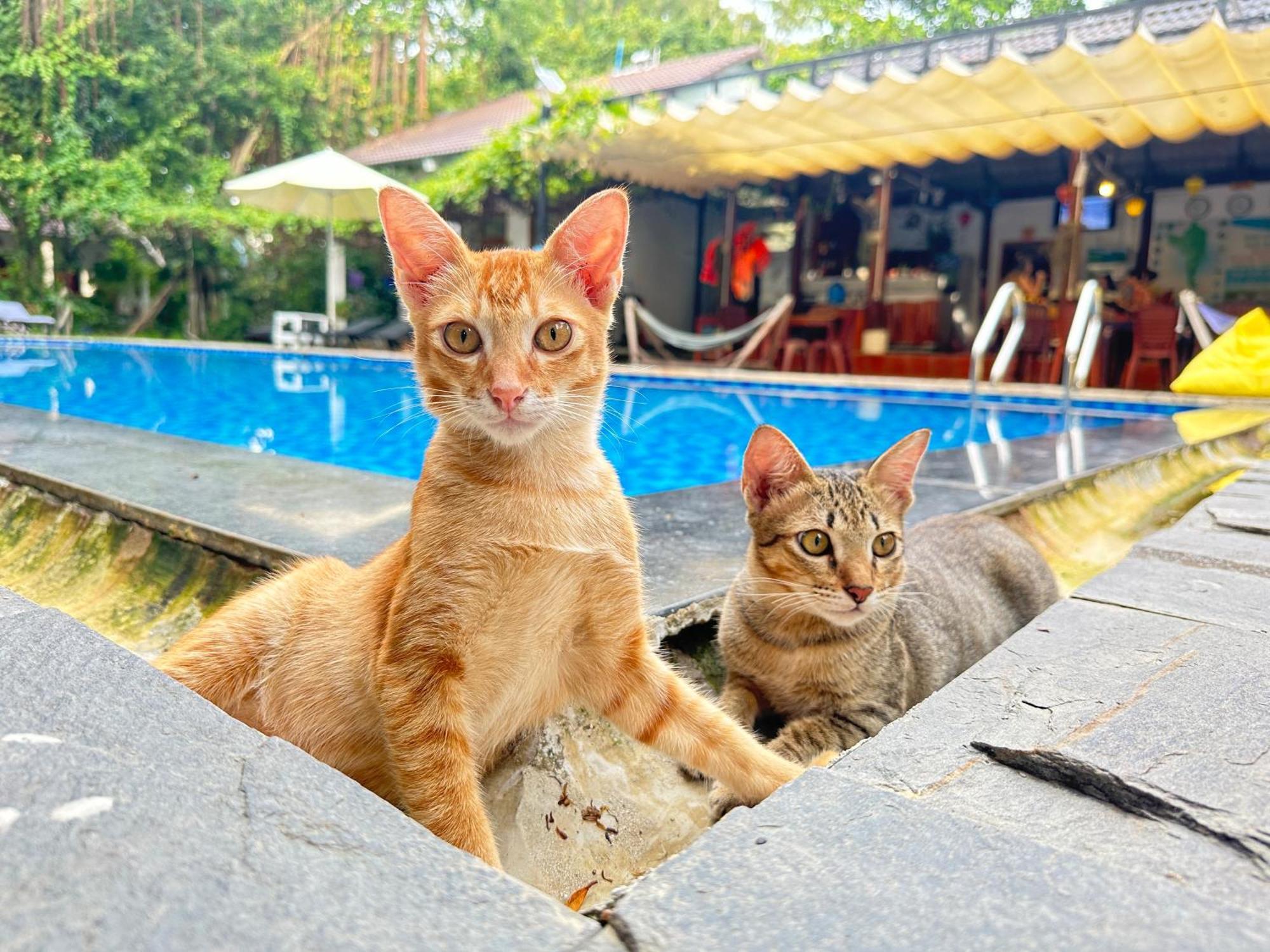 Have Fun Phu Quoc Villa Dış mekan fotoğraf